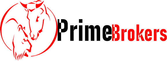 bull waves trading platform